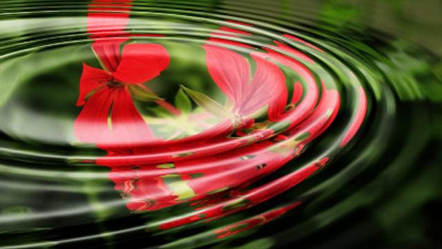 ブレイクフクシマ