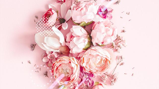 CHANCE（チャンス）