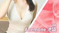 Anemone (アネモネ) 池袋
