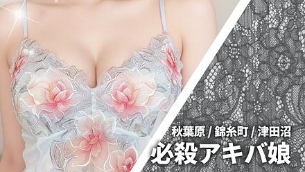 必殺アキバ娘