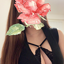 林(27)