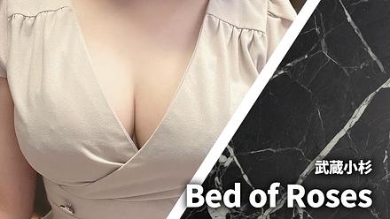 ベッドオブローゼス（Bed of Roses） 旧スリーピングシープ