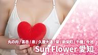 Sun Flower (サンフラワー) 愛知