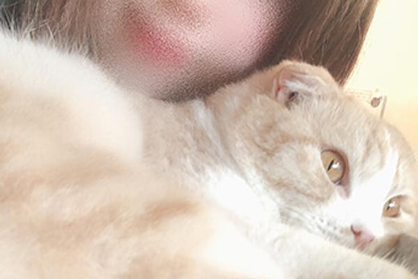 Sugar (シュガー) 岡崎