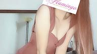 Flamingo (フラミンゴ) 王子
